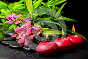 beautiful spa still life of blooming twig red orchid flower, phalaenopsis, bamboo with dew and candles on zen basalt