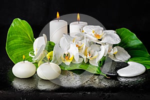 beautiful spa still life of blooming white orchid flower, phalaenopsis, green leaf with dew, candles and sign Yin Yang stones on