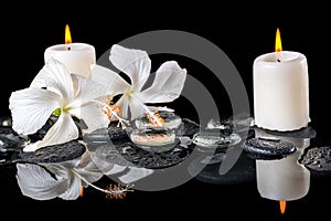 Beautiful spa still life of delicate white hibiscus, zen stones