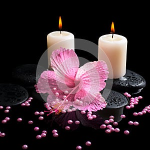 Beautiful spa still life of pink hibiscus, candles, zen stones