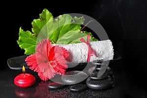 Beautiful spa still life of red hibiscus flower with dew, candle