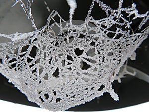 Beautiful spider web frozen by an intense cold photo