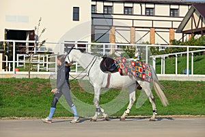 Beautiful sports girl lead her saddle horse