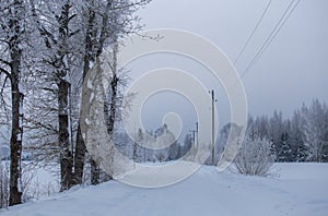 Latvian countryside in Winter, February 2021 photo