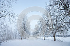 Latvian countryside in Winter, February 2021 photo