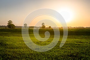 Beautiful spring background field on sunset