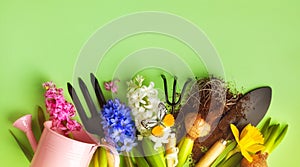 Beautiful spring background with gardening tools, colorful flowers and butterfly. Top view