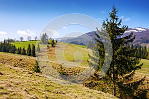 beautiful spring background of grassy hills and mountains