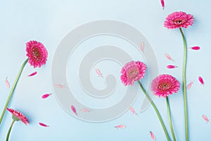 Beautiful spring background with pink flowers and petals. Floral frame. Flat lay style.