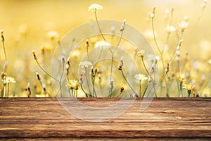 Beautiful spring background with yellow flowers and empty wooden table in nature outdoor. Natural template with sunlight