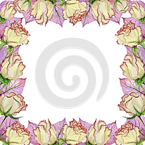 Beautiful spring border made of rose flowers and leaves with veins. Square frame with white background for a text.