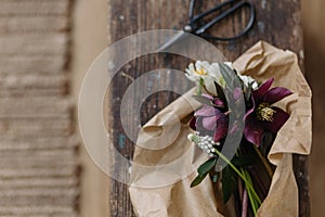 Beautiful spring bouquet in craft paper and scissors on rustic wooden background. First spring flowers helleborus, muscari,