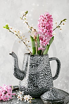 Beautiful spring bouquet of pink hyacinth flowers and plum blossom branches in an old vintage enamel teapot.