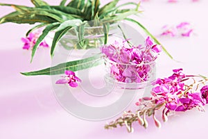 Beautiful spring composition of fresh willow-herb flowers and leaves