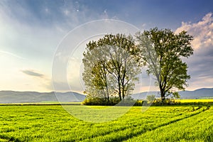 Beautiful spring countryside landscape in Slovakia