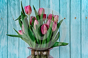 Beautiful spring decoration.Pink purple tulips in glass vase.Fresh tulip flowers bouquet in front of blue wall.View with copy