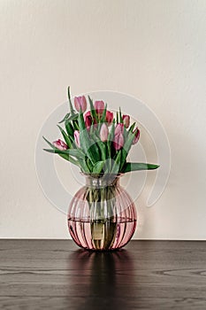 Beautiful spring decoration.Pink purple tulips in glass vase.Fresh tulip flowers bouquet.View with copy space.Greeting card.Woman