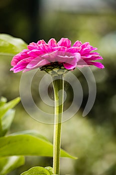 Beautiful spring elements in nature background