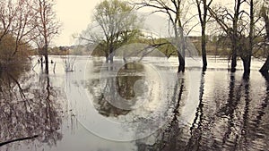 Beautiful spring flood, river overflow, flooded trees, aerial view.