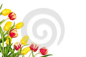 Beautiful spring floral mockup. Red and yellow tulips on white background.