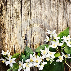 Beautiful spring flower border on rustic wooden background with copyspace. White jasmine bouquet on vintage textured table. Top