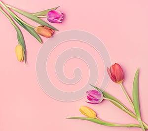 Beautiful Spring Flowers Background Bunch of Tulip Flowers on Pink Background Top View Square Frame Toned