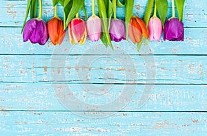 Beautiful spring flowers border with colorful tulips on light blue wood background with copy space