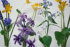 Beautiful spring flowers - buttercup flower, buttercup, forget-me-not, ficaria, hyacinth