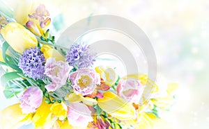 Beautiful spring flowers frame