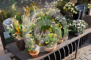 Beautiful spring flowers in front of flower shop on a spring day. Easter arrangements