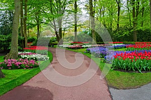 Beautiful spring flowers in Keukenhof park in Netherlands