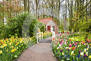 Beautiful spring flowers in Keukenhof park in Netherlands