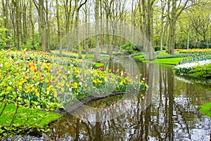 Beautiful spring flowers near pond in Keukenhof park in Netherlands