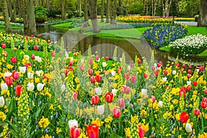 Beautiful spring flowers near pond in Keukenhof park in Netherlands