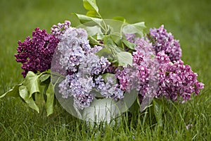 Beautiful spring flowers. purple lilac in white vase on grass green background