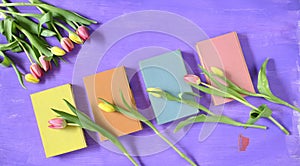 beautiful spring flowers, row of pink tulips flowers with books on purple background, concept, flat lay, negative space,free copy