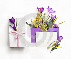 Beautiful spring flowers violet crocuses and yellow flowers mimosa in postal envelope with blank sheet and white gift box
