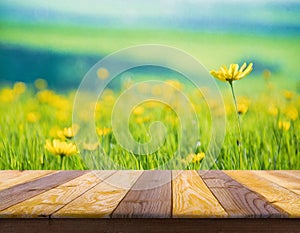 beautiful spring green meadow background with empty wooden table for product display