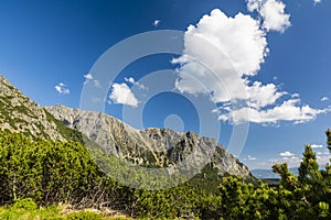 Spring has come to the mountains. A wonderful panorama of mountain nature.