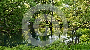 Beautiful spring lake and forest. Springtime season Abstract natural background. Blurry silhouettes of many green spring