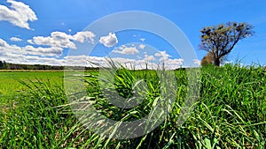 Beautiful spring landscape of fields and meadows in the Polish countryside