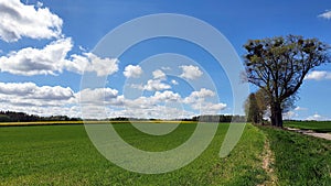 Beautiful spring landscape of fields and meadows in the Polish countryside