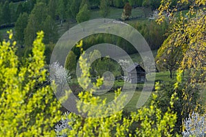 Beautiful spring landscape at the foothills of the Carpathian mountains