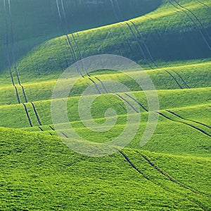 Beautiful spring landscape with green field-Waves and hills with grass in Moravian Tuscany - Kyjov