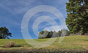 Beautiful spring landscape green meadow trees and blue sky background