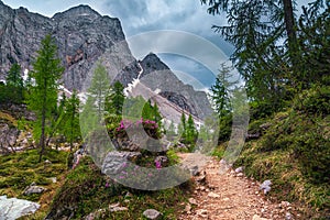 Beautiful spring landscape with hiking trail in Julian Alps, Slovenia photo