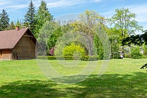 Beautiful spring landscape with pond, trees and park benches