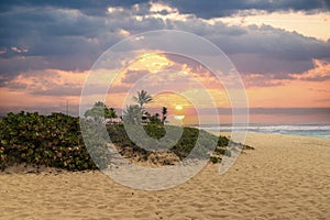 a beautiful spring landscape at Sandy Beach with blue ocean water, silky brown sand, people relaxing, palm trees, blue sky and