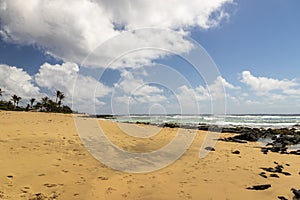 a beautiful spring landscape at Sandy Beach with blue ocean water, silky brown sand, people relaxing, palm trees in Honolulu