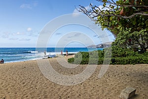 a beautiful spring landscape at Sandy Beach with blue ocean water, silky brown sand, people relaxing, palm trees in Honolulu